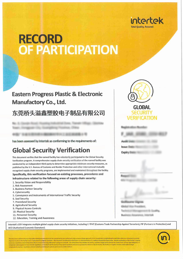 Global Security Verification (GSV)